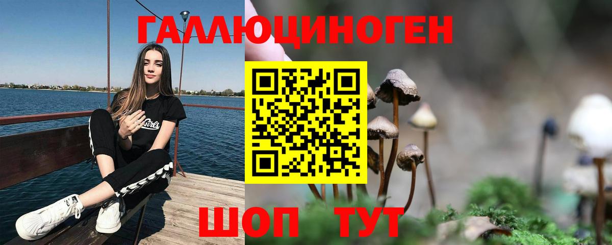 Галлюциногенные грибы Cubensis  Вход с VPN  Россия 